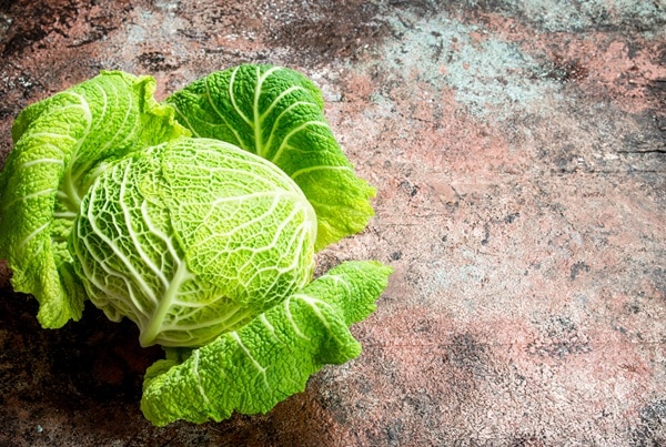 Health Benefits Of Cabbage | Healthy Foods Mag
