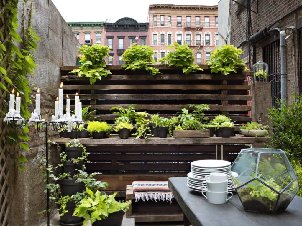 A Beginner's Guide To Urban Gardening For Health