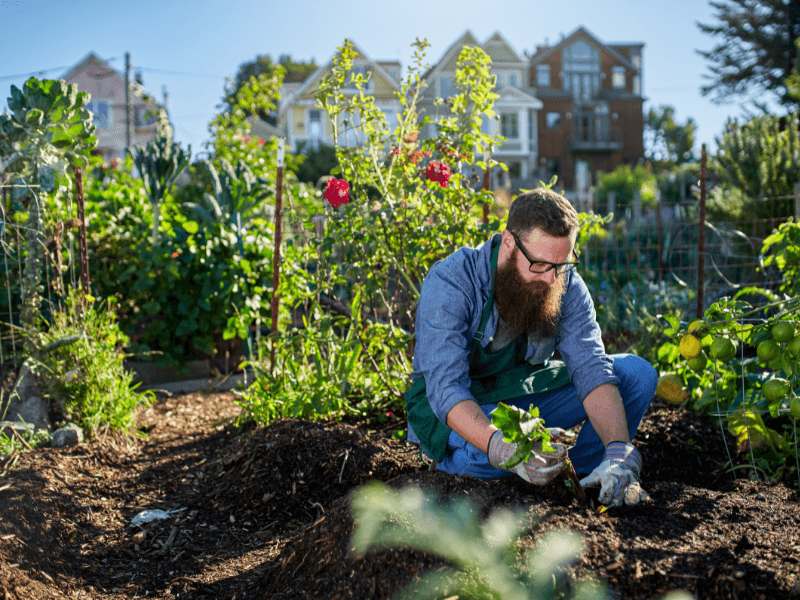 A Beginner's Guide To Urban Gardening For Health