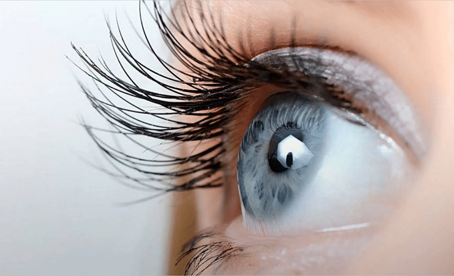 Essential Vitamins for Eye Health and Vision